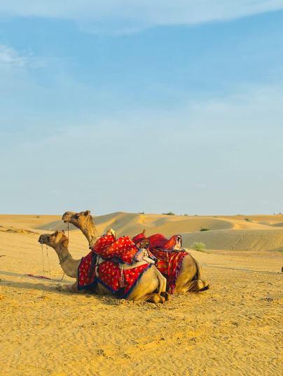 Great Indian Thar Desert