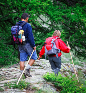 Left side small image