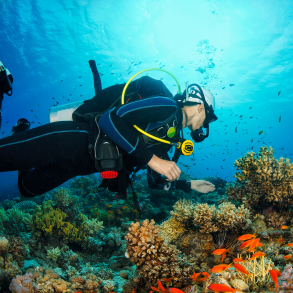 Scuba Diving Snorkeling